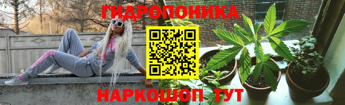 Марихуана SATIVA & INDICA Тамбов